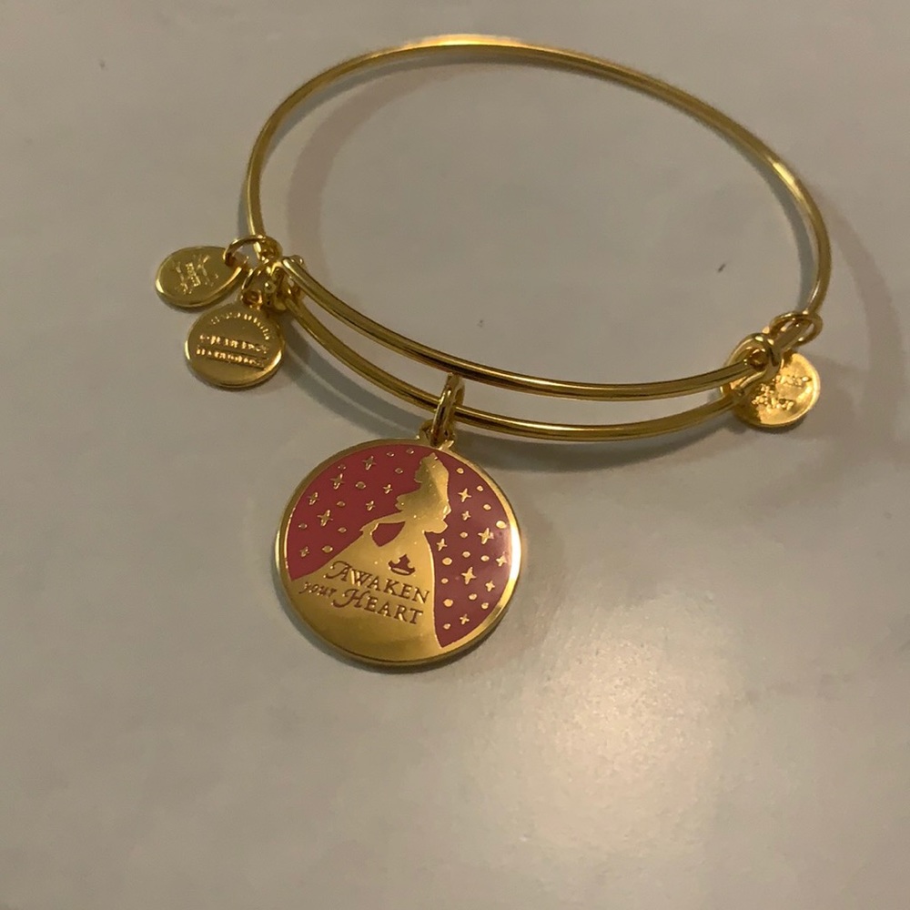 Alex and Ani Gold and Red Bracelet
